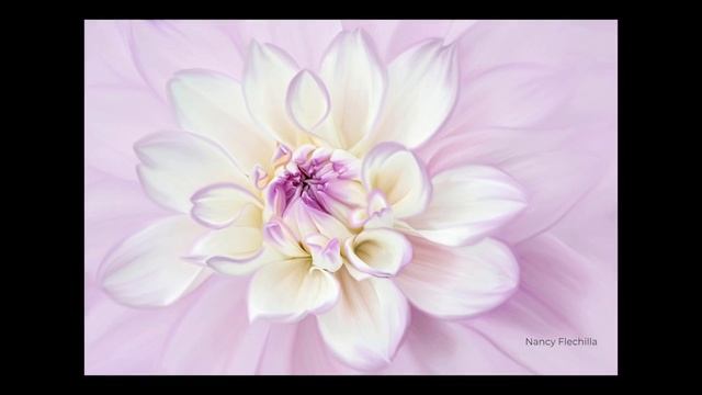 Painting Flowers in Photoshop - Student Artwork смотреть онлайн
