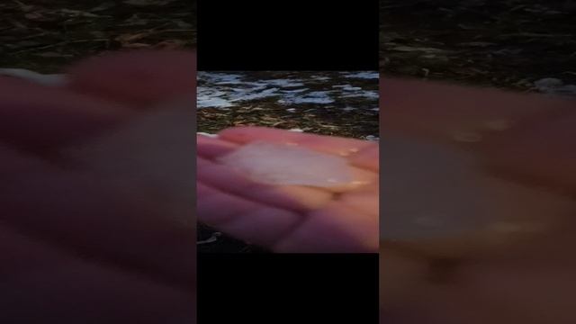 первый эксперимент смотреть онлайн