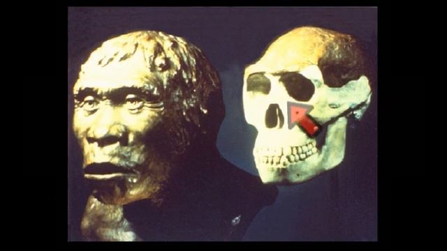 Ep 59 - The Many Assumptions About Java Man! смотреть онлайн