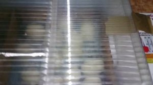 Блиц Норма, инкубация индоутиных яиц,моя первая инкубация!!!