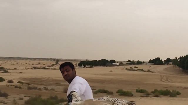 Rainy day in the desert смотреть онлайн