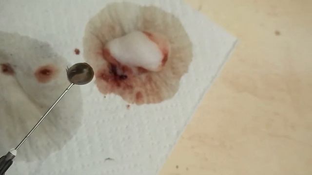 Строительная Мозаика