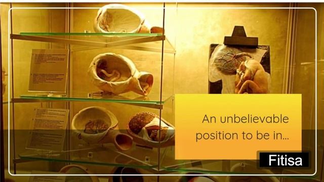 JAVA BURN COFFEE REVIEW ⚠️ WATCH BEFORE YOU BUY JAVA BURN SUPPLEMENT смотреть онлайн