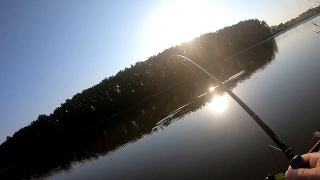 МОНСТРЫ НАСТУПАЮТ КРЮЧКИ РАЗГИБАЮТ! ловля огромных карпов под берегом carp fishing рыбалка на карпа смотреть онлайн