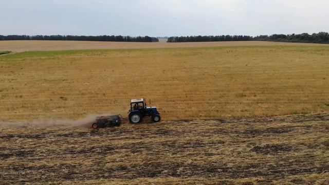 Что делать со стерней и валками соломы после уборки пшеницы?! смотреть онлайн