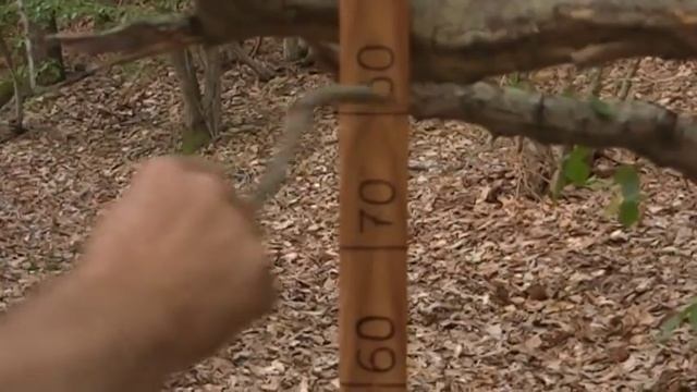 AKA Intronik hodograph смотреть онлайн