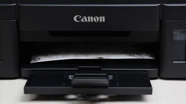 МФУ Canon PIXMA G3411 ? Обзор + тест печати фотографий на принтере смотреть онлайн