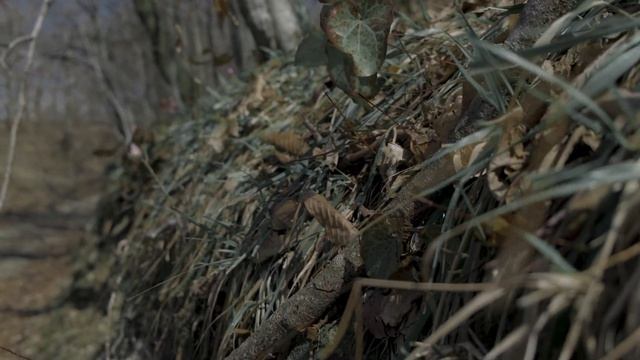 Почему? смотреть онлайн