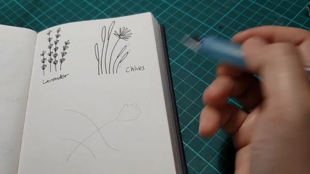 Draw with me | Real Time | Music only | No talking | Herb #3 смотреть онлайн