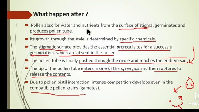 Reproduction in lower and higher plants| Part 5| XIIth Maharashtra Board смотреть онлайн
