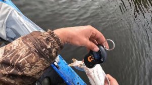 Рыбалка после охоты