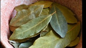 Мощный Талисман для денег Лавровый лист и руна Феху.