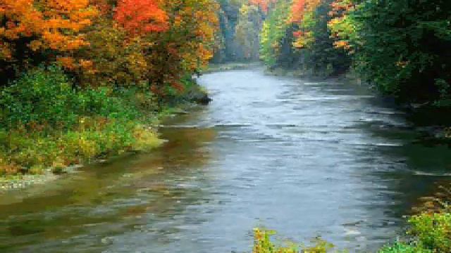 Мы с тобой два берега ALLADIN_любимой смотреть онлайн