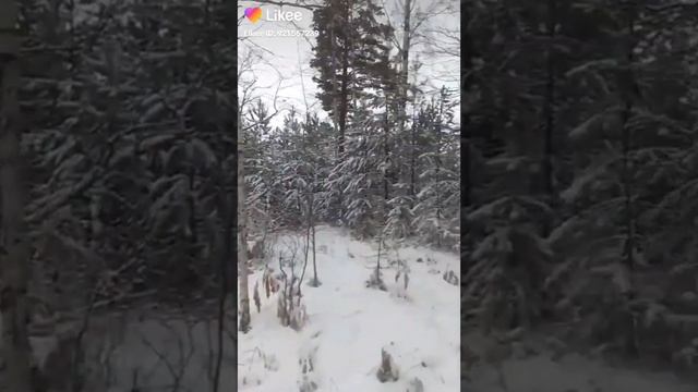 #Песня-Ой снег снежок белая метелица#Танцы#Юмор#Художник#Рыбалка#природакавказа смотреть онлайн