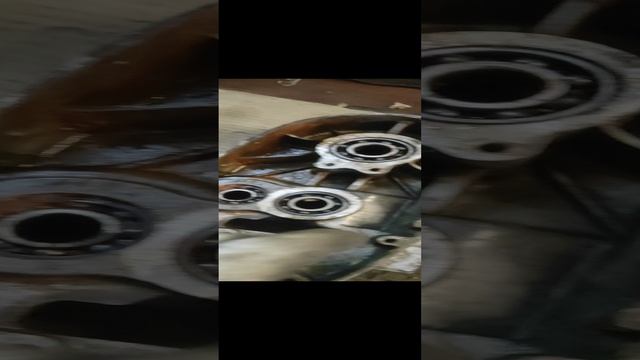 VID_20230907_081415.mp4