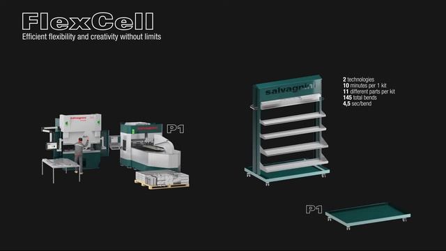 SALVAGNINI FlexCell. Гибкие гибочные ячейки. Презентация. смотреть онлайн