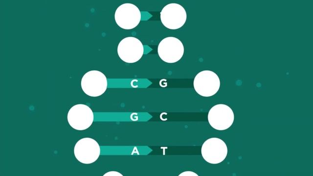 The Human Genome Project | Genetics | Biology | FuseSchool смотреть онлайн