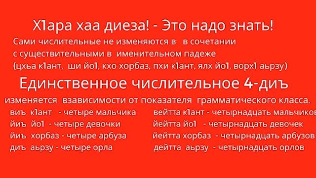 Чеченский язык. Онлайн курсы. Урок 8. Маса шо ду хьан? Сколько тебе лет? Саунапа Бугачиева смотреть онлайн