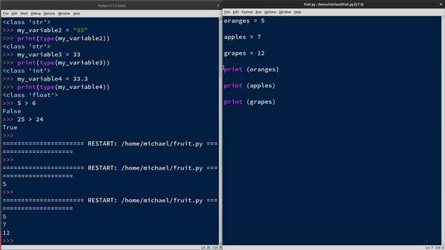 Introduction to Python 3: Topic 3 - Data Types & Conditionals смотреть онлайн