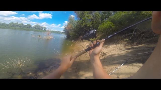 Ловля дикого Сазана на нижней Волге Июль 2016г. смотреть онлайн