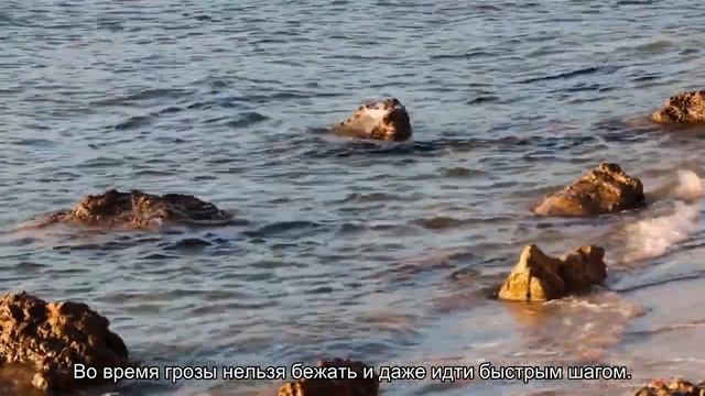 Как правильно вести себя в грозу смотреть онлайн
