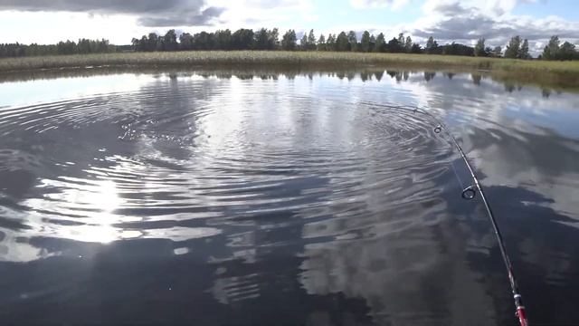 Ловля щуки спиннингом на вертушку!!! смотреть онлайн