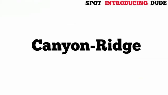 New 2020 Ford FreeStyle Bs6|All Colour Options|Spot Introducing Dude смотреть онлайн