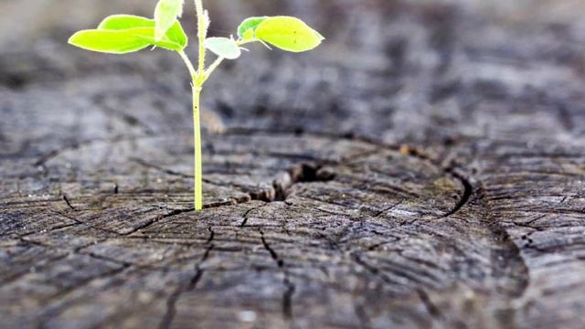 Один на сотню тысяч.