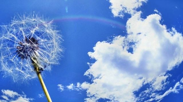 Почему кислород не исчезает на Земле?