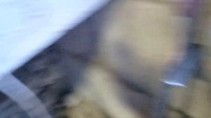 Вход в подвал. Смотровая яма своими руками. Лесенка, подиум, а также неожиданный финал.