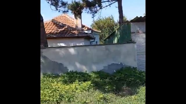 Продажа дома в селе в Болгарии от собственника. Заходи и живи. Баня на дровах. Село Маломирово смотреть онлайн