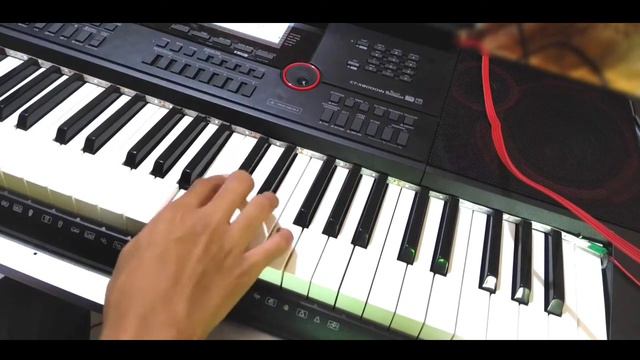Despacito Mix Cover on Piano Casio Ct-x | All best Piano Tone Cover on Casio Ct-x Series | Casio Ct смотреть онлайн
