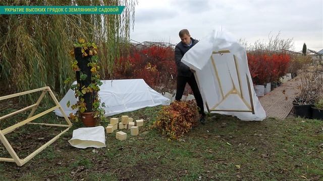 Укрытие вертикальных грядок с земляникой на зиму. Как укрыть садовую землянику на зиму. смотреть онлайн
