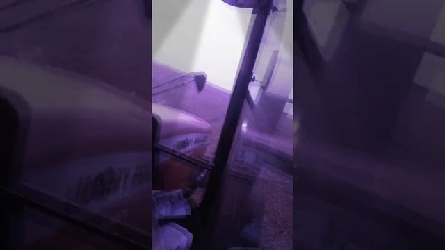 Titando carro mf 73???? смотреть онлайн