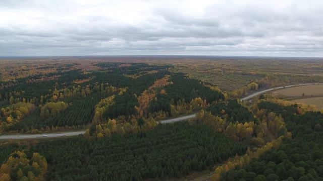 Тюменская область, Шевелевский кедрач смотреть онлайн