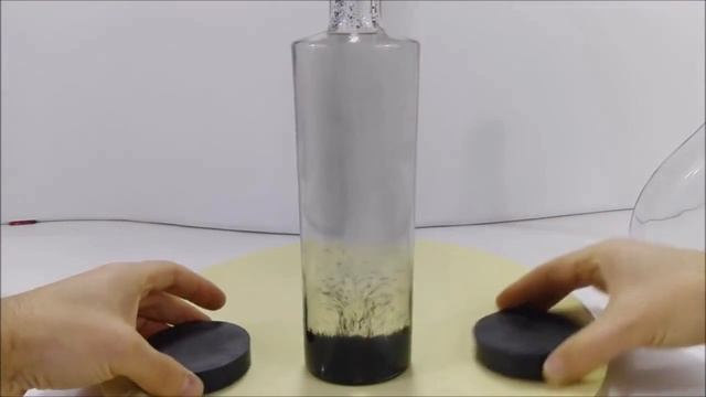 TOP 5 магнитных экспериментов смотреть онлайн