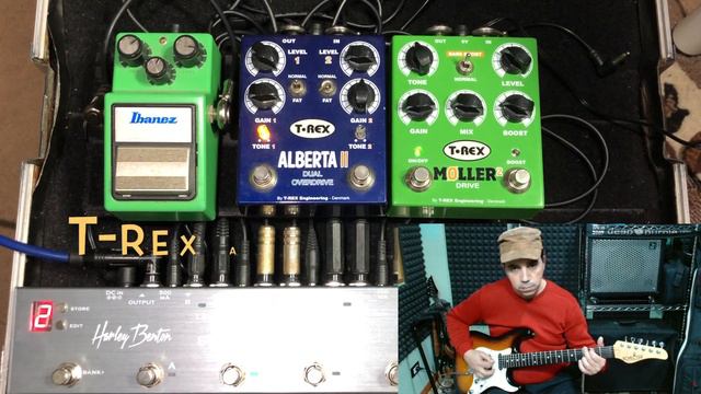 T-REX ALBERTA 2 VS MOLLER 2 - OVERDRIVE PEDAL COMPARISON смотреть онлайн