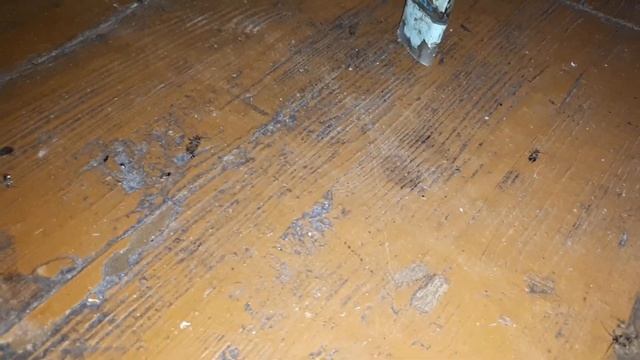 Эффект борной кислоты с яичным желтком. смотреть онлайн