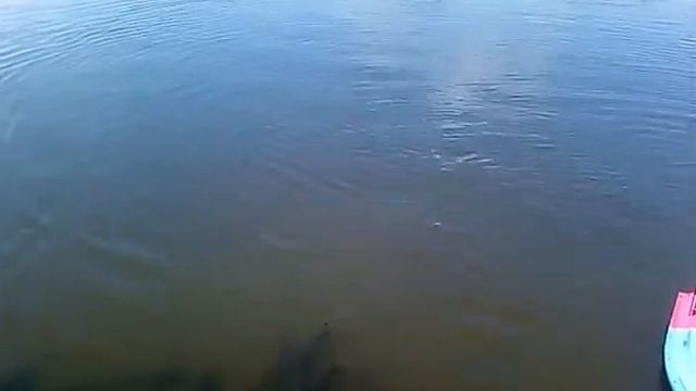 Доработка прикормочного кораблика. Что может Flytec ? смотреть онлайн