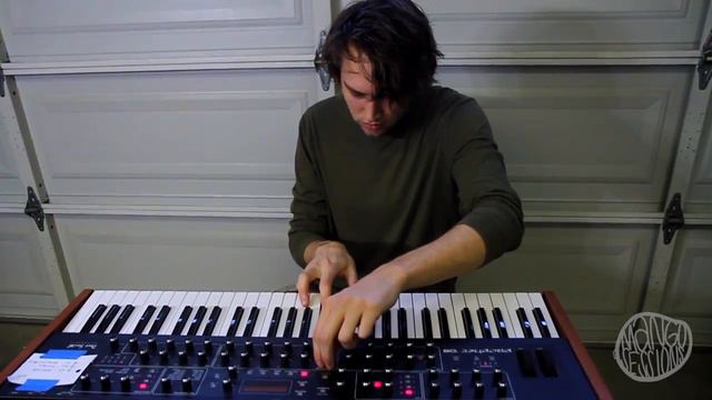 P. Whitehill - Toothless Bliss II (Mango Session) смотреть онлайн