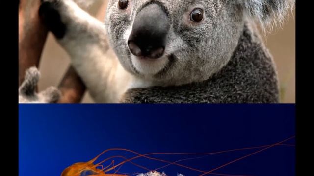 топ 10 фото смотреть онлайн