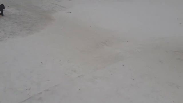 Чем заняться зимой в парке Дружбы в Москве5.01.2021 смотреть онлайн