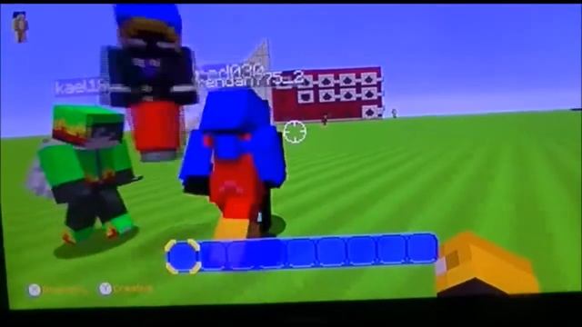 Minecraft Wiiu Edition Custom Skin Mods