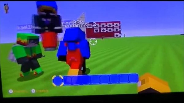 Minecraft Wiiu edition custom skin mods