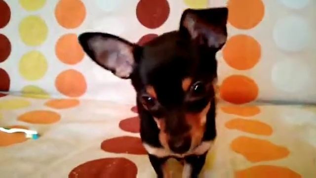 Title фигурки из бисера (новогодние) смотреть онлайн