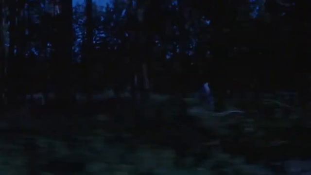 Libera | Beethoven | Sacris Solemnis