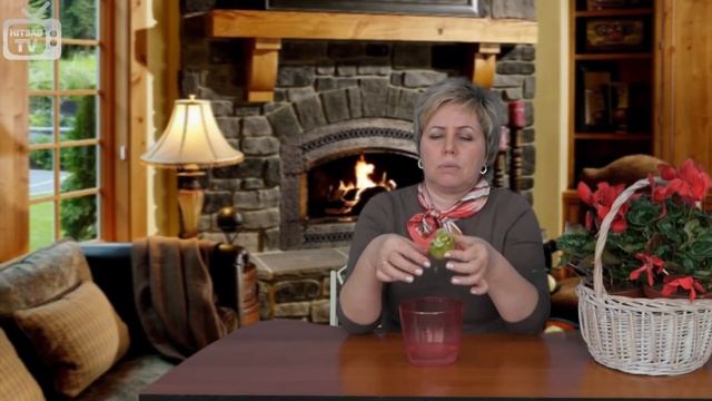 Посадка сельдерея из магазина ➡ Результаты эксперимента! Хитсад ТВ