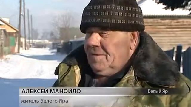 В Белом Яре живет беспризорный фазан