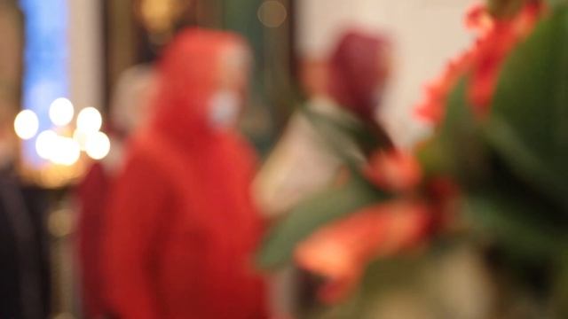 Проповедь митрополита МАРКА. Пример стяжания премудрости (07.12.2021 г.) смотреть онлайн