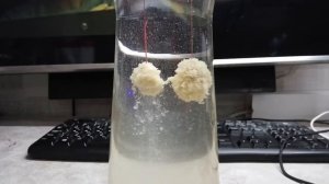 Херабуна. Самодельное тесто